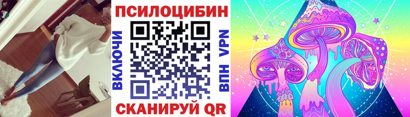 Галлюциногенные грибы Cubensis  Избербаш 
